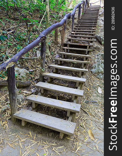 Wooden Stair In The Forest Trail