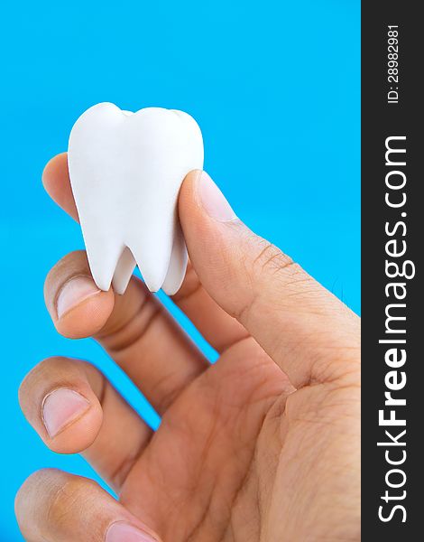 Hand Holding Molar,dental concept