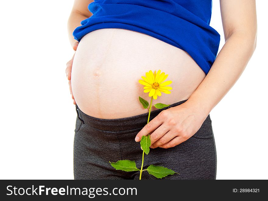 Pregnant woman holding a flower isolated on white background