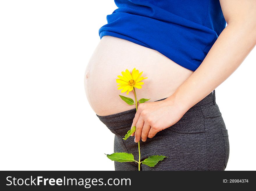 Abdomen pregnant girl with a flower