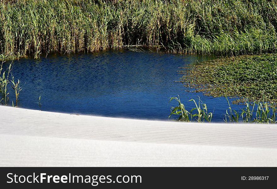 Landscape of little blue pond with white sand dune