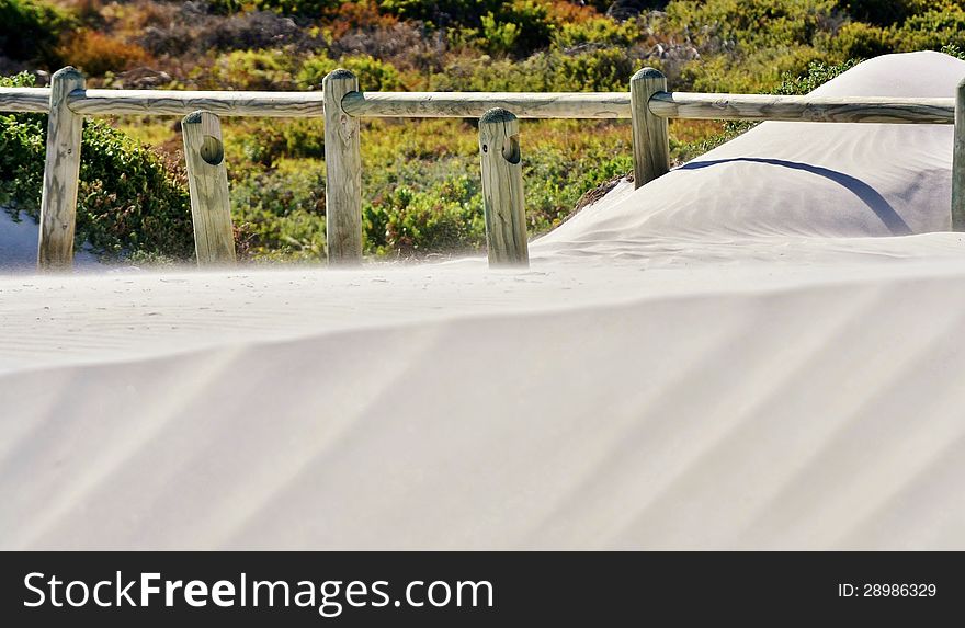 Landscape with wooden poles in white beach sand. Landscape with wooden poles in white beach sand