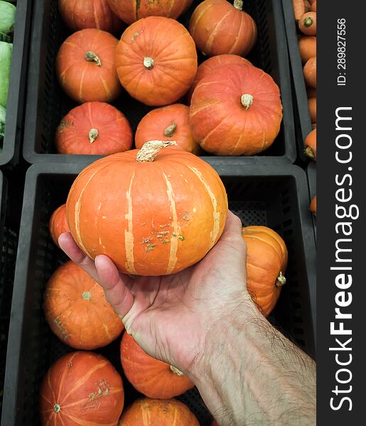 Pumpkin & x28 Red kuri squash  Hokkaido& x29  in a man& x27 s hand against the background of boxes with pumpkins at the market, v