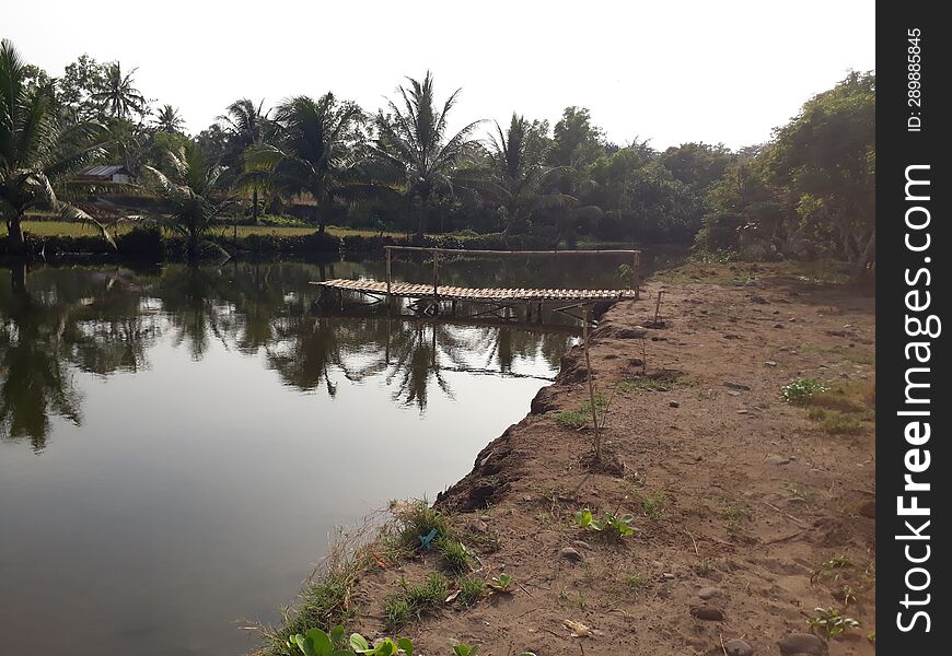 A Small River Leads To The Sea, A Shady Fishing Spot In The Coastal Area