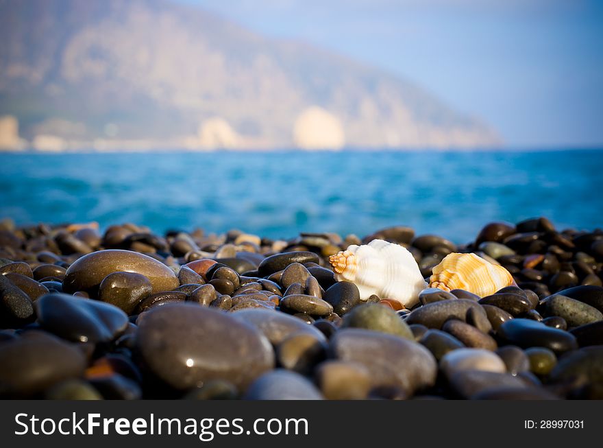 Black Sea coast in Crimea