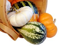 Pumpkins And Gourds Stock Photography
