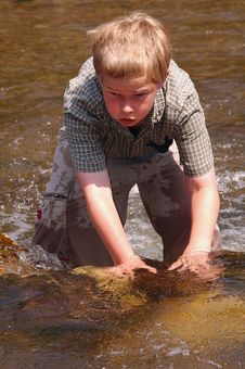 Cooling Off In A Creek On A Hot Summer Day Stock Photography