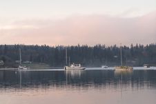 Evening On The Puget Sound Royalty Free Stock Photography Evening On The Puget Sound Royalty Free Stock Photography