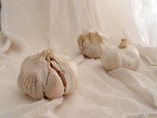 Garlic On Gauze (2) Stock Photos Garlic On Gauze (2) Stock Photos