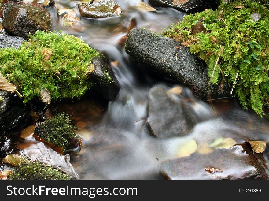 A small brook close up