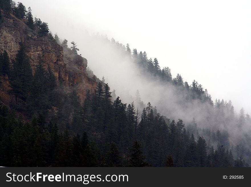 Morning fog on a mountain. Morning fog on a mountain