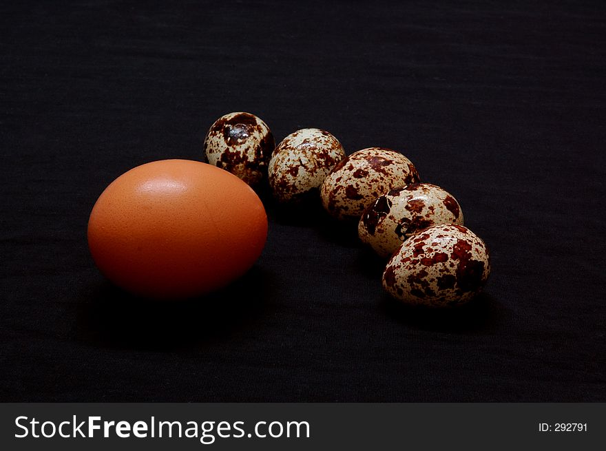 A single chicken egg versus 5 quaill eggs. A single chicken egg versus 5 quaill eggs