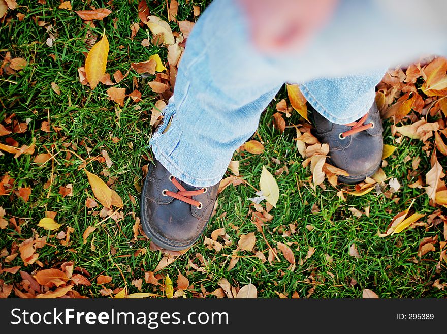 A woman's legs looking down in the fall leaves. A woman's legs looking down in the fall leaves