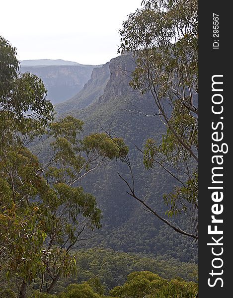 Taken in Blue Mountains, NSW, Australia. Taken in Blue Mountains, NSW, Australia