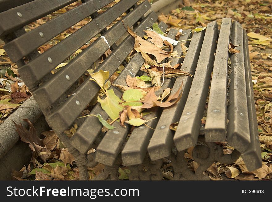 Leafs covering a park seat. Leafs covering a park seat