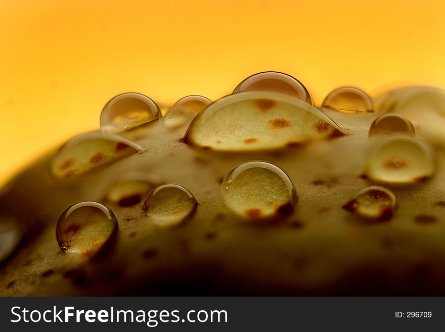 Drops - Fresh Liquid Concept