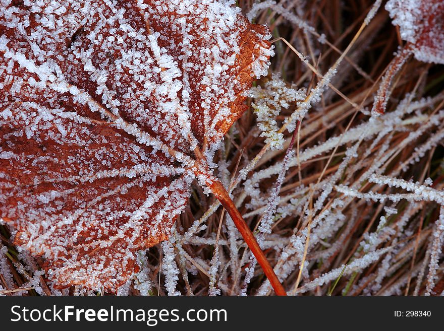 Frozen ground on a cold autumn morning (Macro). Frozen ground on a cold autumn morning (Macro)