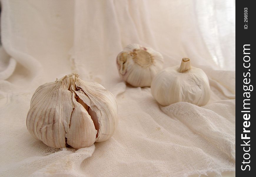 Garlic On Gauze (2)