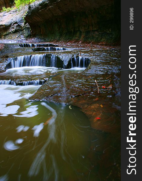 Red Leaves Flowing in Slot