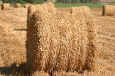 Rolls Of Hay Royalty Free Stock Image Rolls Of Hay Royalty Free Stock Image
