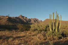 Desert Sunset Stock Photo