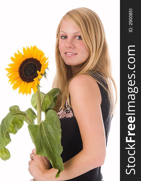 The attractive blonde in studio holds a sunflower in hands. The attractive blonde in studio holds a sunflower in hands