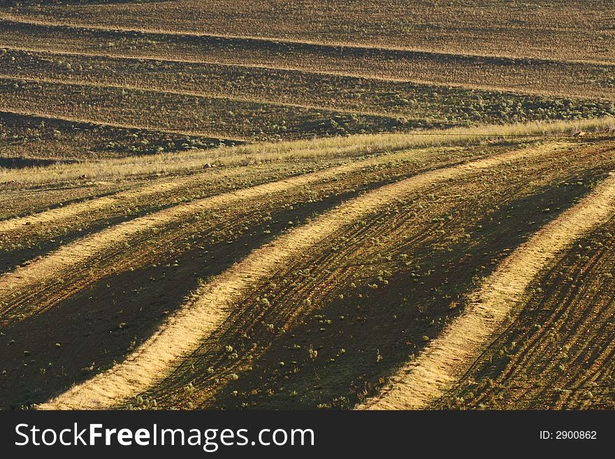 Curved contours on the side of the mountain