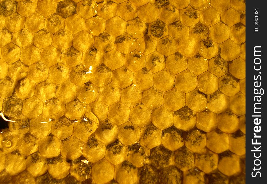 Honeycombs 2