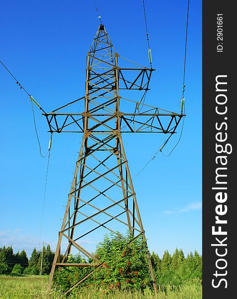 A metal support of a high-voltage line on a background of the bright blue sky. A bush of a red elder; a dark fir forest. A metal support of a high-voltage line on a background of the bright blue sky. A bush of a red elder; a dark fir forest.