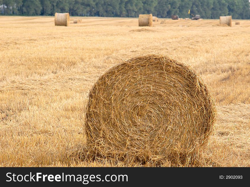 An image of field with rolls of straw