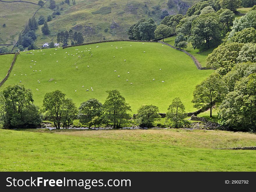 Dappled sunlight on a Summer field in the English Lake district. Sheep can be seen grazing in the distance with a farmhouse behind and a river flows behind a line of trees in the foreground. Dappled sunlight on a Summer field in the English Lake district. Sheep can be seen grazing in the distance with a farmhouse behind and a river flows behind a line of trees in the foreground