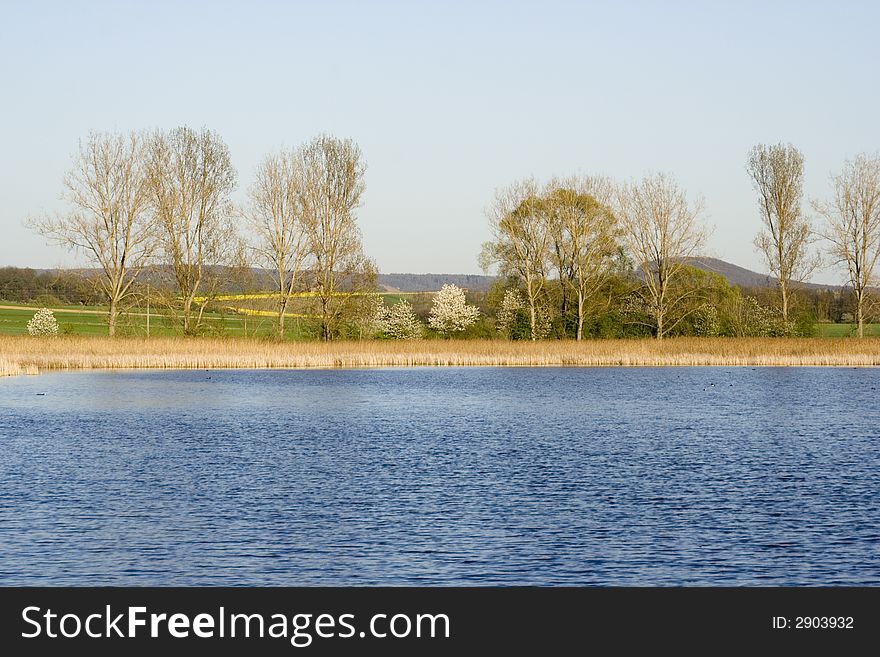 A small bavarian lake in spring. A small bavarian lake in spring