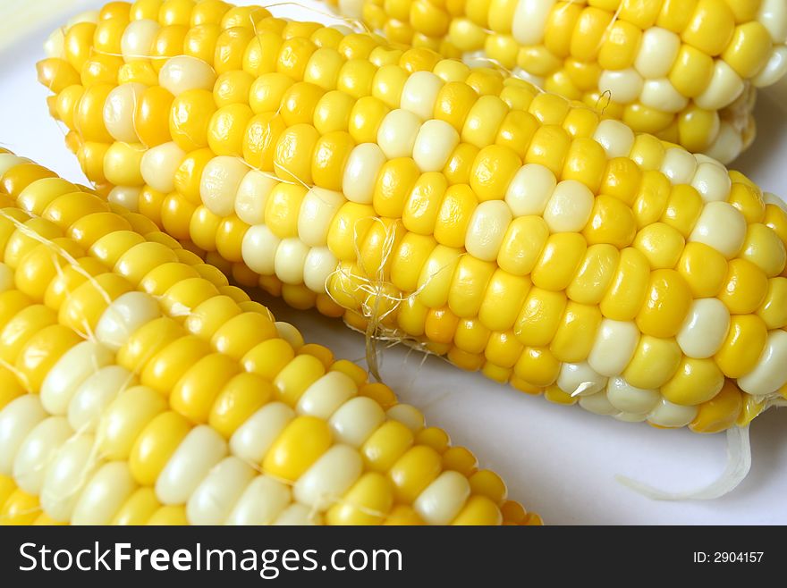 Detailed corn cobs on white