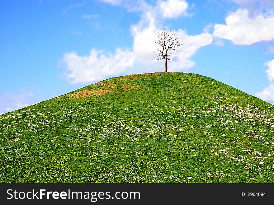 Lonley tree on the top of a hill. Lonley tree on the top of a hill