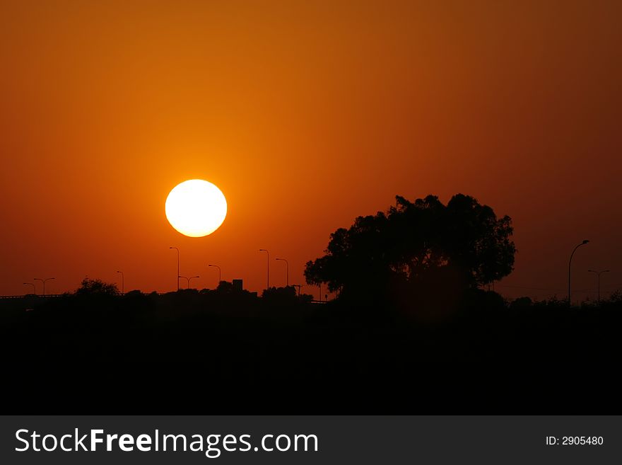 A photo of tree at Cyprus sunset