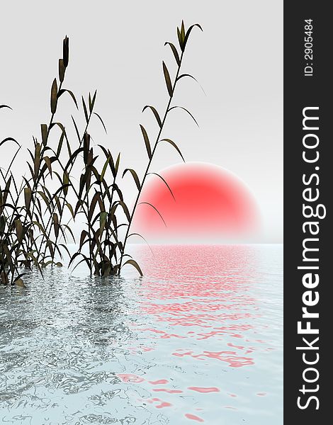 Water plants on a sea sunset background - 3D scene. Water plants on a sea sunset background - 3D scene.