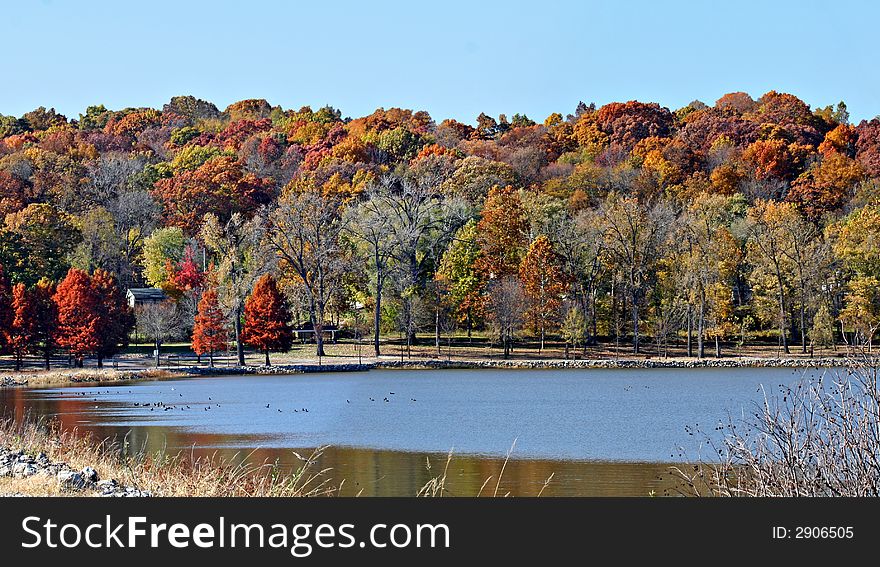 Autumn trees with colorful leaves by a lake