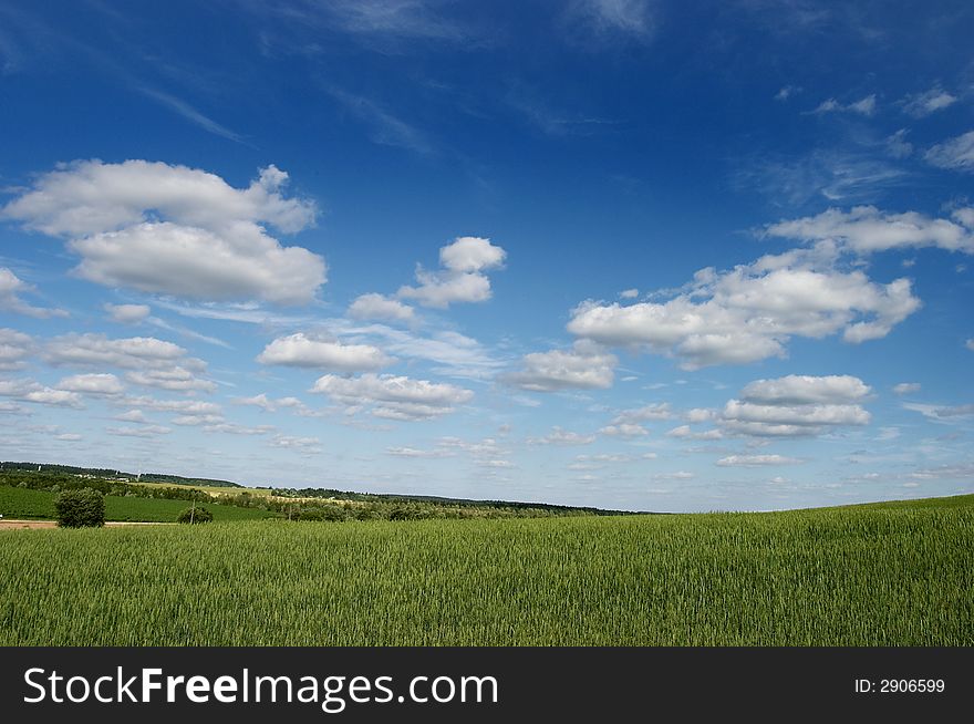 Landscape a green field and the dark blue sky with clouds, hills, horizon. Landscape a green field and the dark blue sky with clouds, hills, horizon