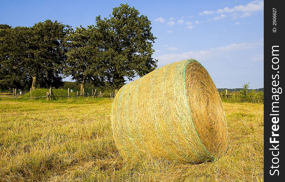 A big straw role on a corn field after harvest in summer