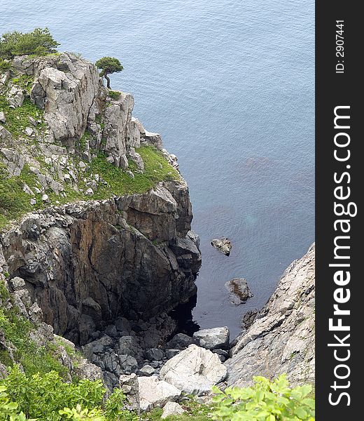 Landscape of rocky coastal sea bay with japanese pine spruce tree. Landscape of rocky coastal sea bay with japanese pine spruce tree