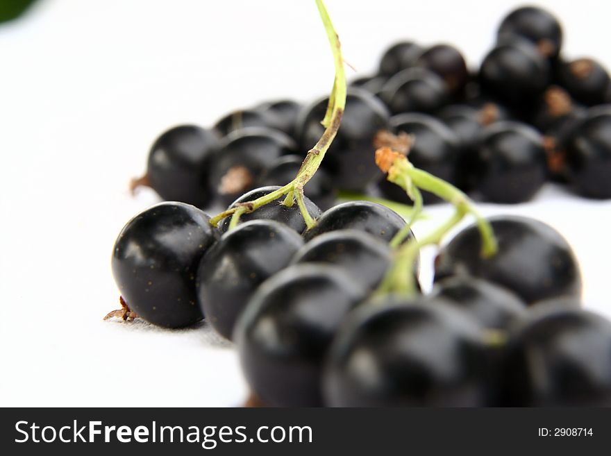 Currants Isolated In White