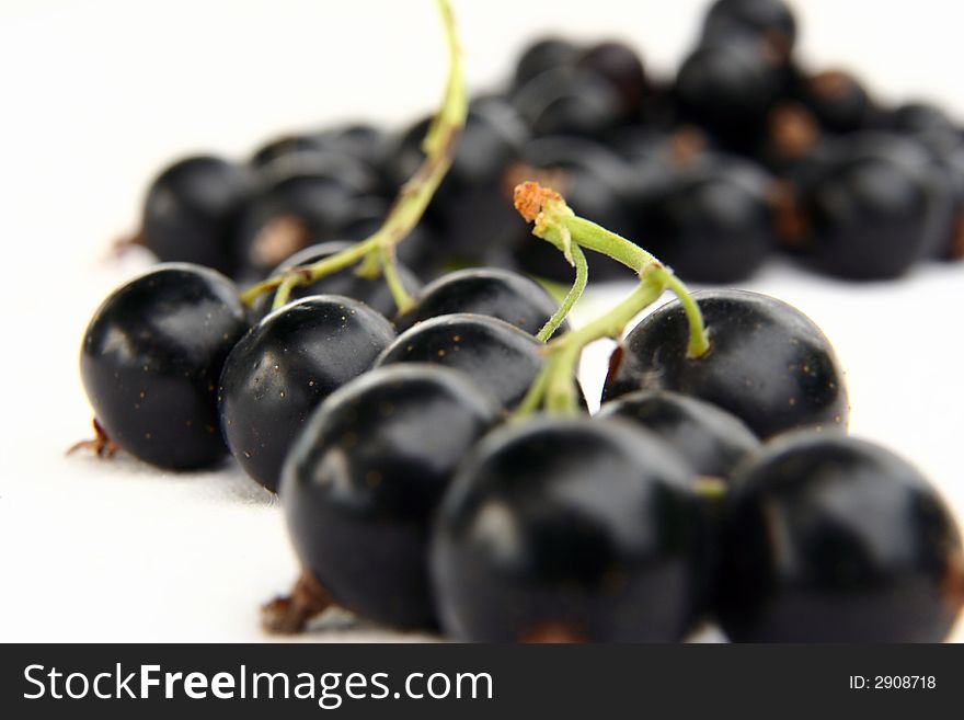 Currants Isolated In White