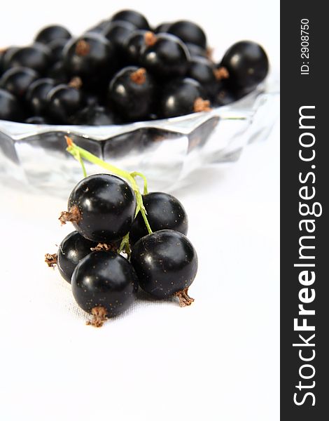 Currants Isolated in White background