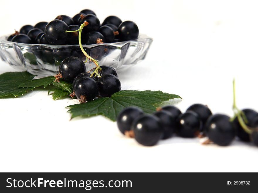 Currants Isolated In White