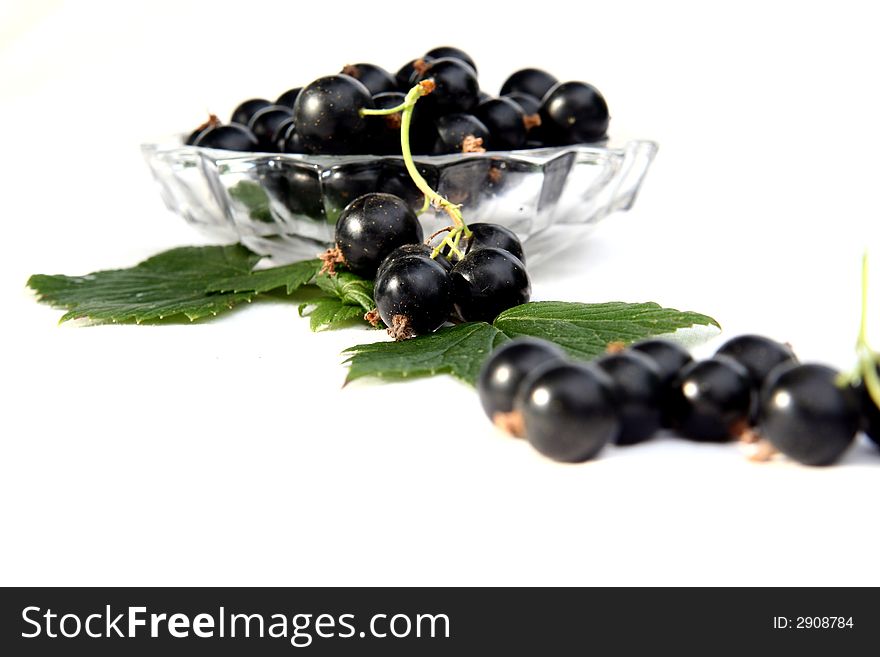 Currants Isolated in White background