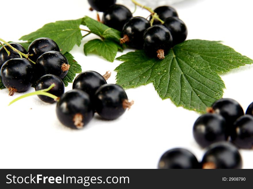 Currants Isolated In White