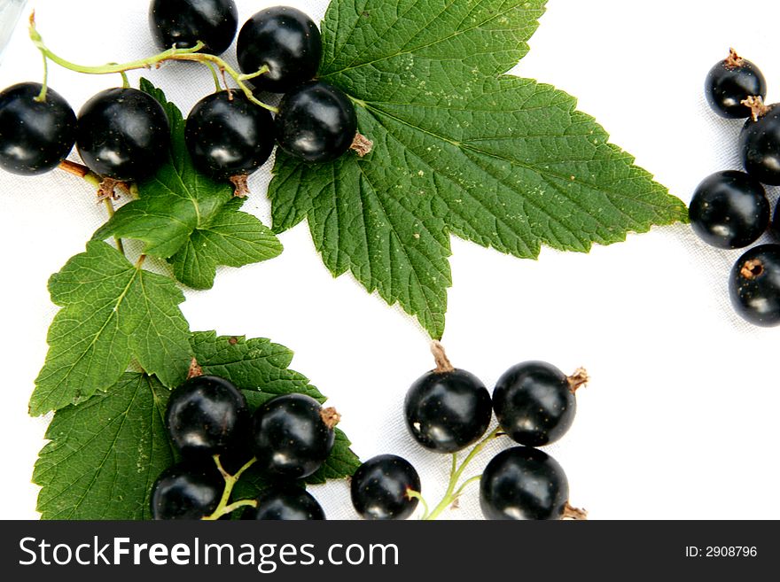 Currants Isolated In White