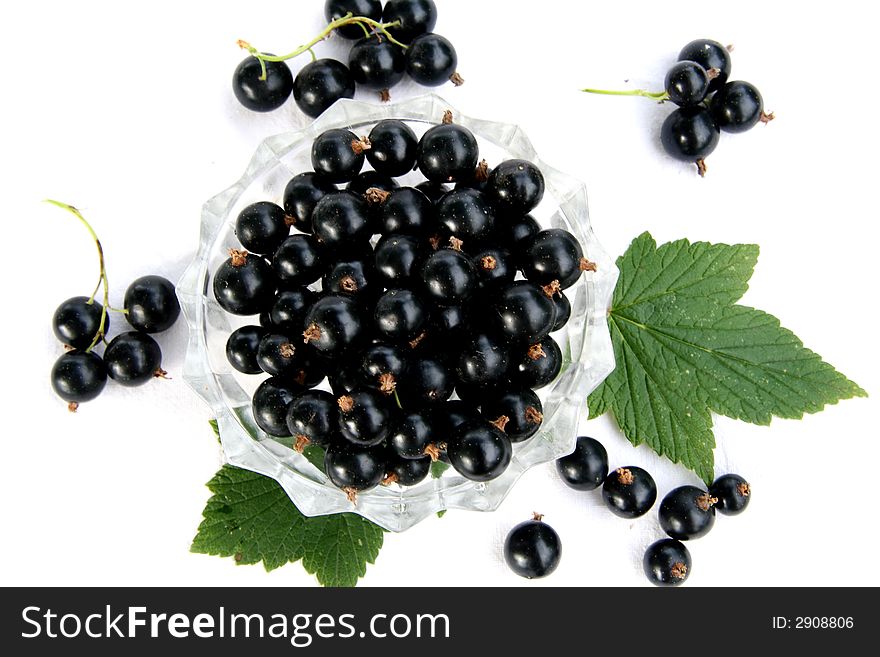 Currants Isolated In White