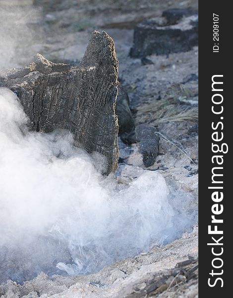 Forest stump still smouldering after being put out