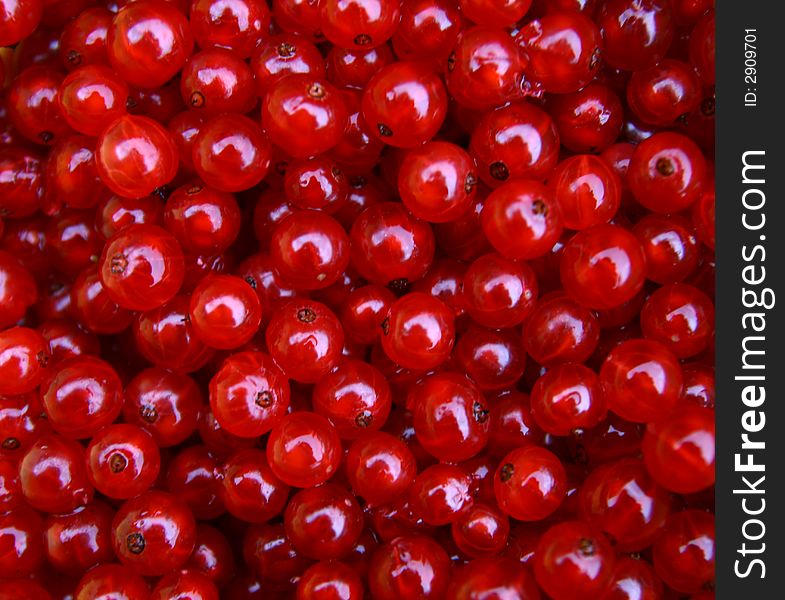 Red currants... fruits pattern, 
Ribes